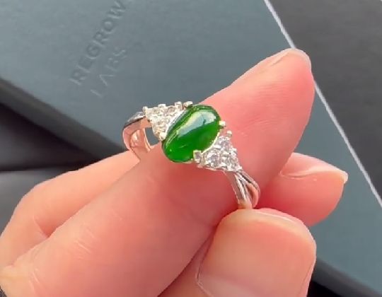 �t�@�b�V�����A�N�Z�T���[022