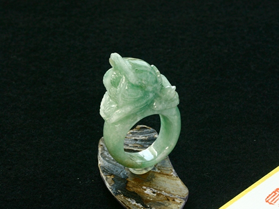 ����ʂ��Ő����������O186_11��