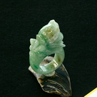 ����ʂ��Ő����������O186_11��