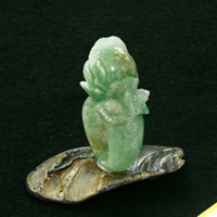 ����ʂ��Ő����������O186_11��