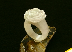 ����ʂ��Ő����������O195_11��