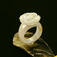 ����ʂ��Ő����������O195_11��