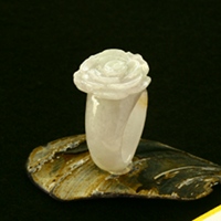 ����ʂ��Ő����������O195_11��