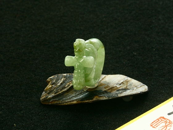 ����ʂ��Ő����������O202_10��