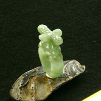 ����ʂ��Ő����������O202_10��